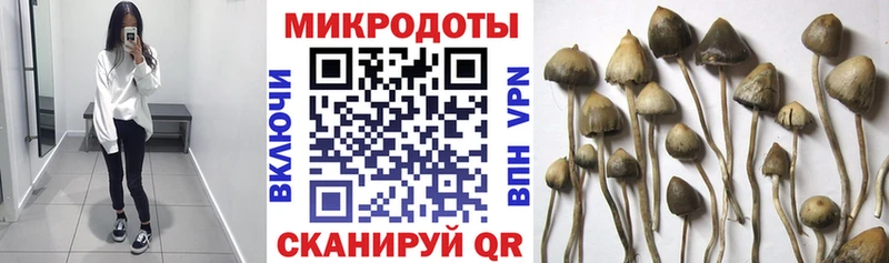 Галлюциногенные грибы мицелий  купить закладку  Абдулино 